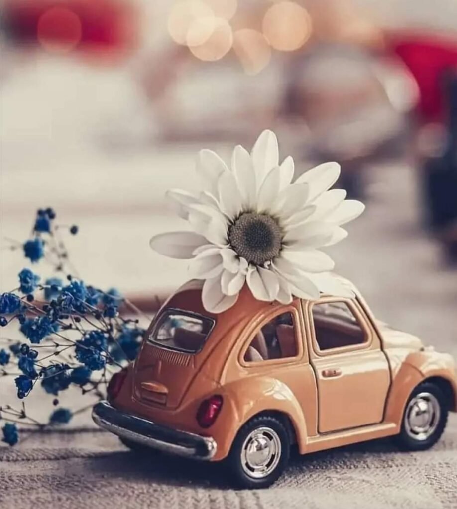 Cutest Car Whatspp Dp images