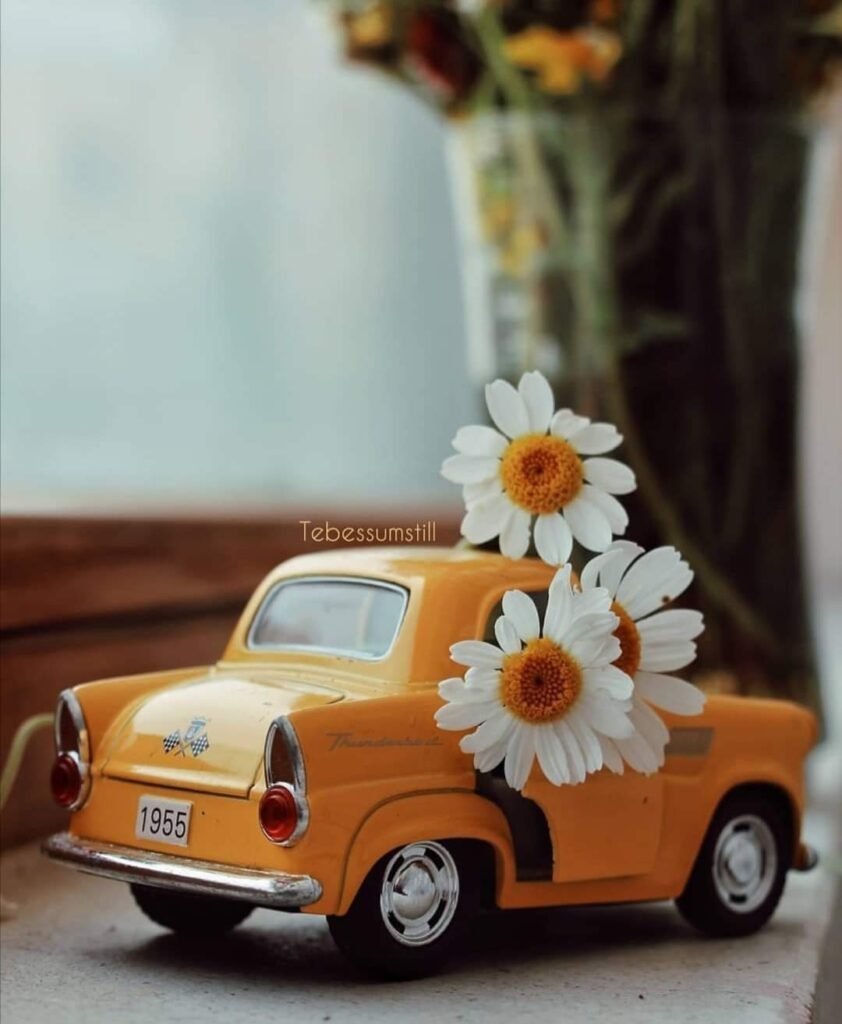 Cutest Car Whatspp Dp images