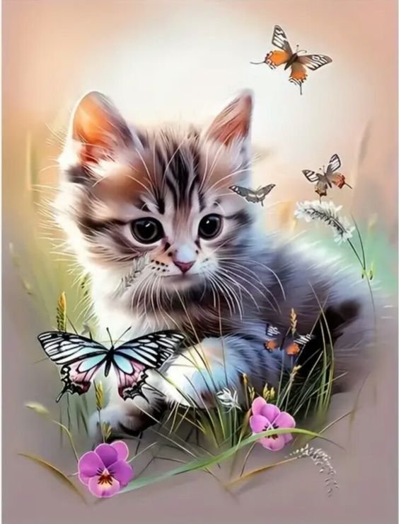 Cute Cat Dp images