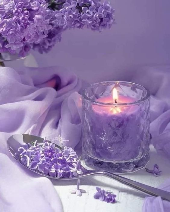 Lavender Colour Dp images for whatsapp