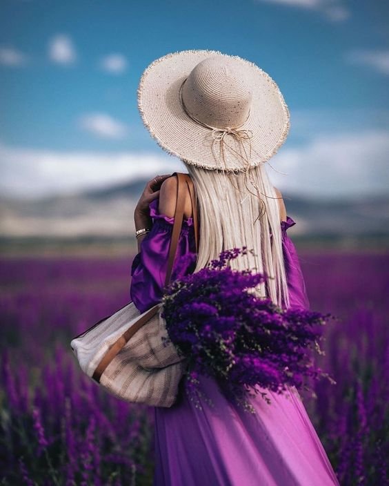 Lavender Colour Dp images for whatsapp