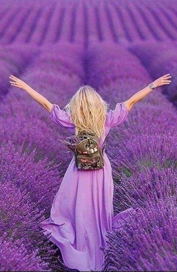 Lavender Colour Dp images for whatsapp