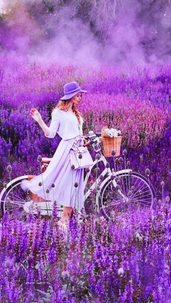 Lavender Colour Whatsapp Dp images