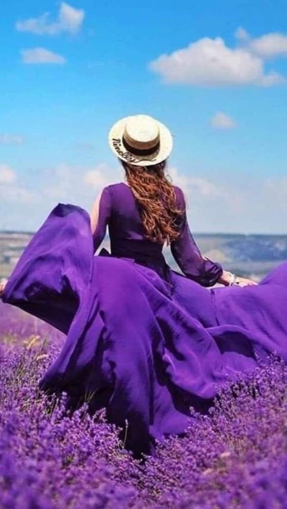 Lavender Colour Whatsapp Dp images