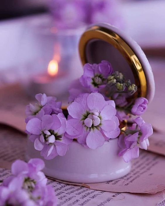 Lavender Colour Whatsapp Dp images