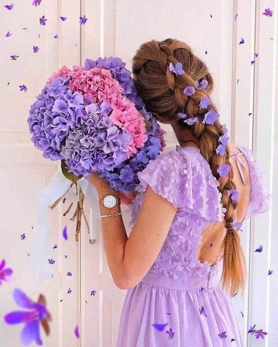 Lavender Colour Whatsapp Dp images