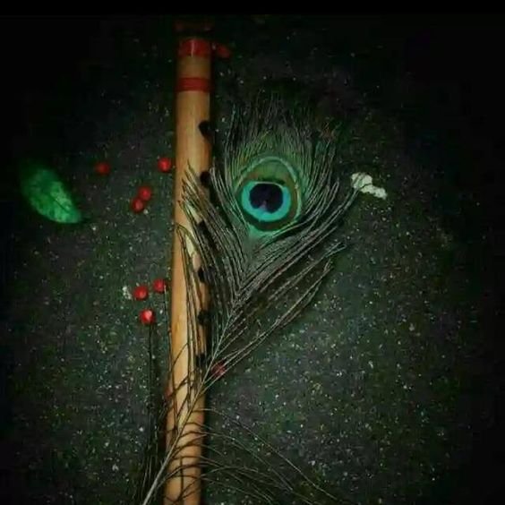 Krishna Feather Whatsapp dp images