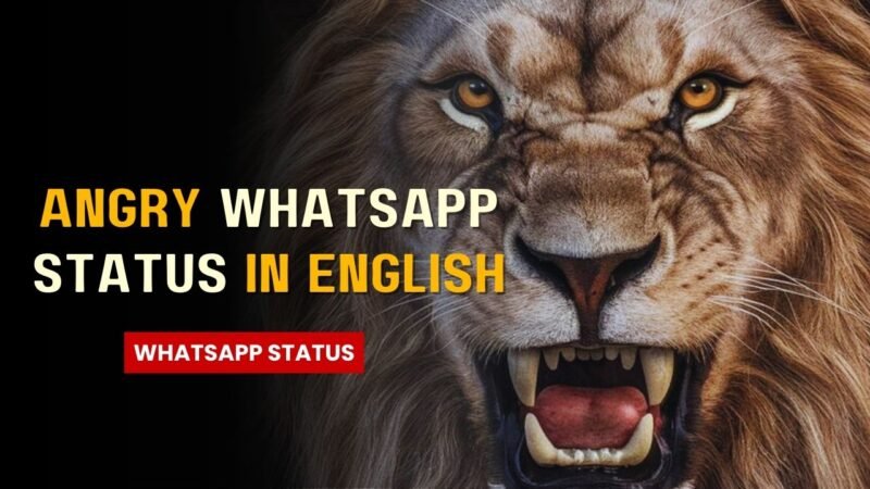 Angry Whatsapp Status in English