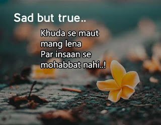 Best Alone Shayari Whatsapp Dp images for Boys & Girls