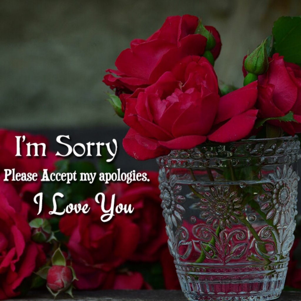 Boys Sorry Whatsapp Dp images