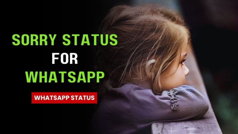 sorry Status quotes for whatsapp