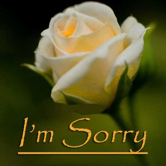 Sorry Dp images for Whatsapp & Facebook