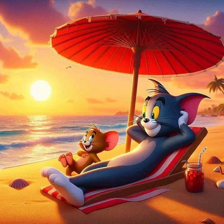 Cute Tom and Jerry Whatsapp Dp Images