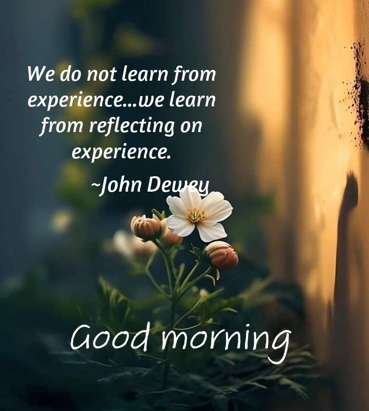 good morning quotes whatsapp dp images